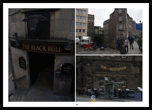 blackbull